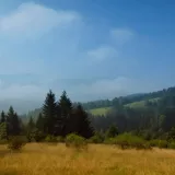 Avatar uživatele