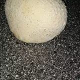 Pýchavka obrovská (Calvatia gigantea) od Monika