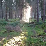 Avatar uživatele