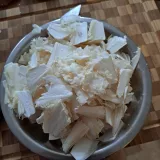 Hlíva plicní (Pleurotus pulmonarius) od Bob