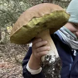 Avatar uživatele