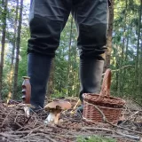 Avatar uživatele