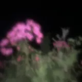 Avatar uživatele