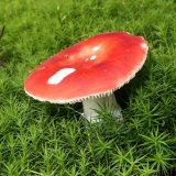 Holubinka vrhavka (Russula emetica) od MV